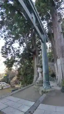 妙義神社(群馬県)