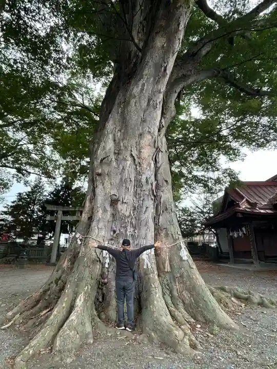 箕輪南宮神社(春宮)(長野県)