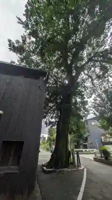 榎木大明神(京都府)