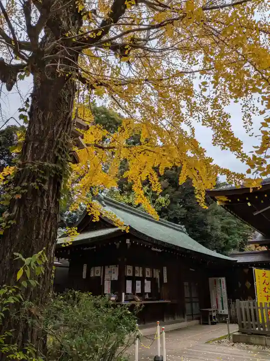 渋谷氷川神社(東京都)