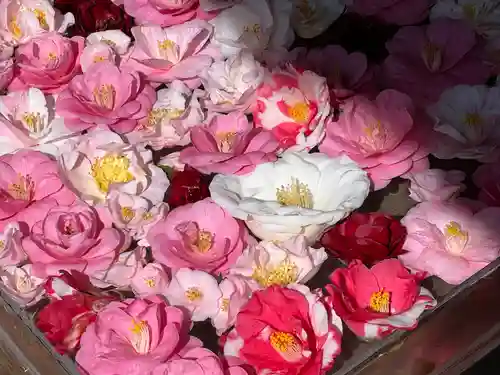 霊鑑寺門跡(京都府)