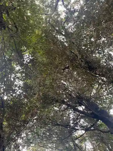 岩槻久伊豆神社(埼玉県)