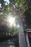 光明院(東京都)