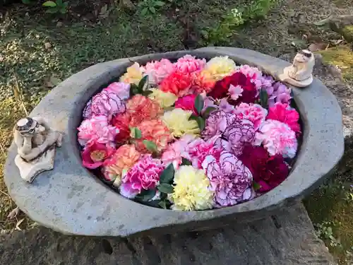 かっぱの寺 栖足寺の手水