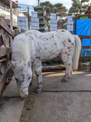 五方山熊野神社(東京都)