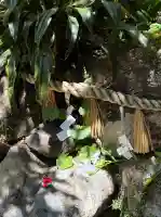 由岐神社の{uncategorized: "未分類", other: "その他", undefined: "問題あり", building: "その他建物", grave: "お墓", sacred_gate: "鳥居", guardian: "狛犬", statue: "像", buddha: "仏像", history: "歴史", nature: "自然", garden: "庭園", animal: "動物", pagoda: "塔", temizu: "手水舎", mountain_gate: "山門・神門", sanctuary: "本殿・本堂", subordinate: "末社・摂社", art: "芸術", scenery: "景色", jizo: "地蔵", ema: "絵馬", goshuin: "御朱印", omikuji: "おみくじ", items: "授与品その他", amulet: "お守り", goshuincho: "御朱印帳", eats: "食事", festival: "お祭り", votive_dance: "神楽", shichigosan: "七五三参", wedding: "結婚式", experience: "体験その他", initially: "初詣", around: "周辺", anti_infection: "感染症対策"}