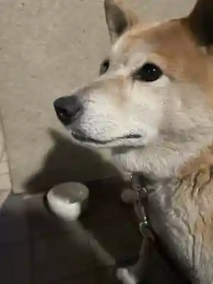 笠䅣稲荷神社(神奈川県)
