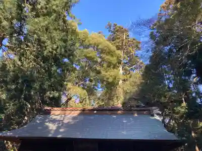 阿弥神社(茨城県)