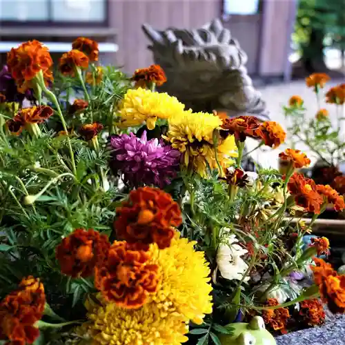 滑川神社 - 仕事と子どもの守り神の手水舎