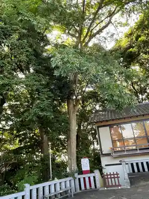 神鳥前川神社(神奈川県)