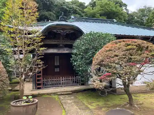 早雲寺(神奈川県)