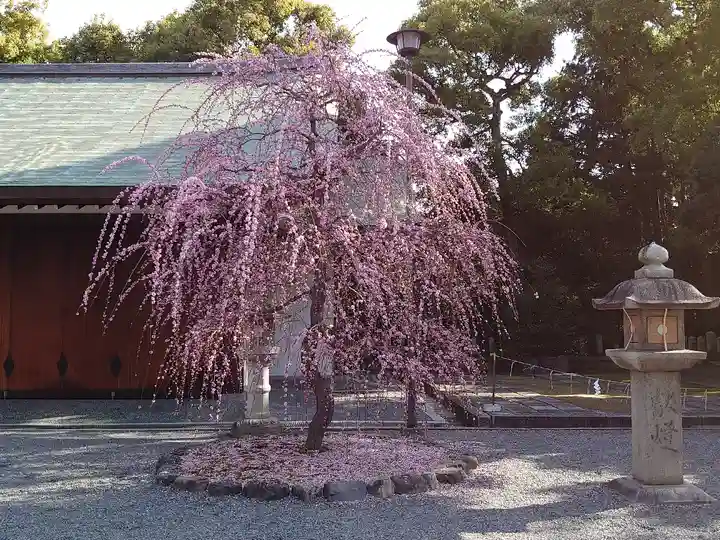 城南宮(京都府)