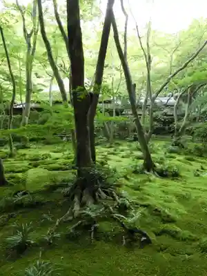 祇王寺(京都府)