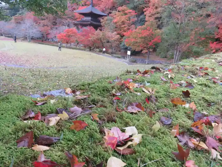 金剛院(京都府)