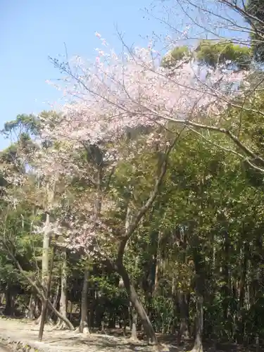 鶴岡八幡宮の自然