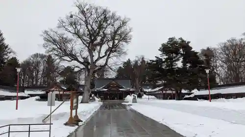 北海道護國神社の本殿・本堂