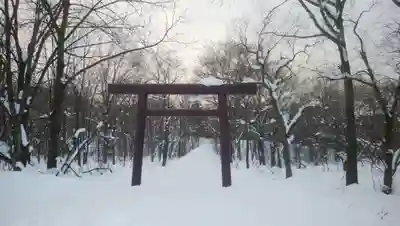 大國神社の鳥居