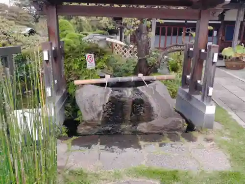 妙蓮寺の手水舎