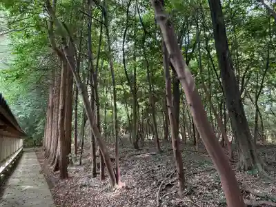 名和神社(鳥取県)