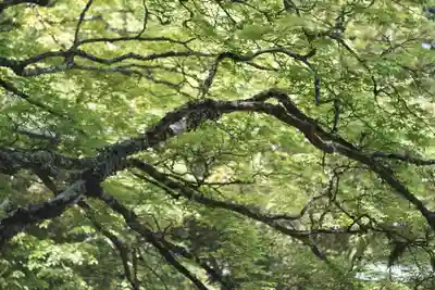 高野山金剛峯寺(和歌山県)