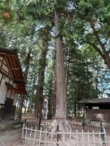 野々宮神社(長野県)
