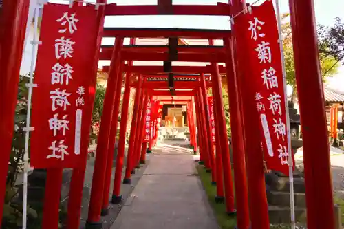 於菊稲荷神社の鳥居