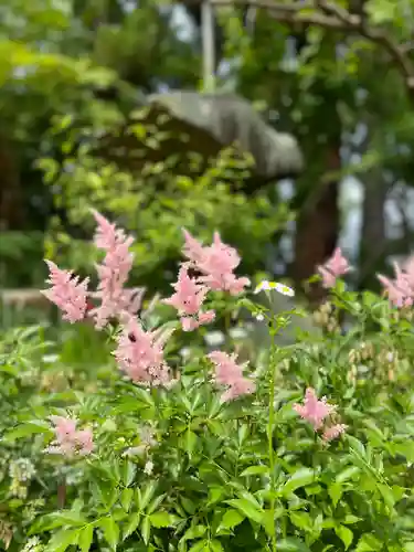 岡部春日神社～👹鬼門よけの🌺花咲く🌺やしろ～(福島県)