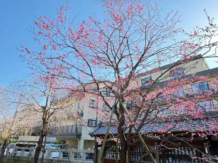 西新井大師総持寺(東京都)