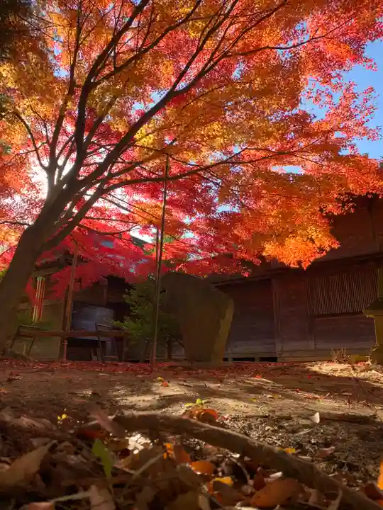 滑川神社 - 仕事と子どもの守り神(福島県)