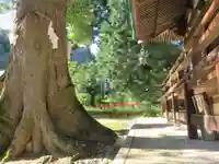 賀羅加波神社の自然