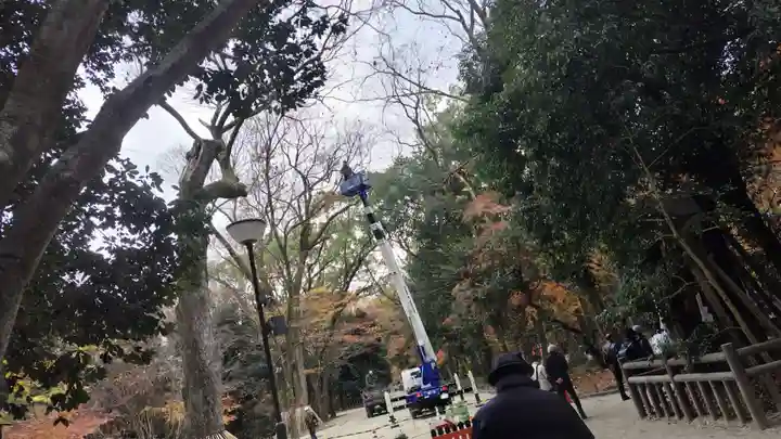 賀茂御祖神社(下鴨神社)(京都府)