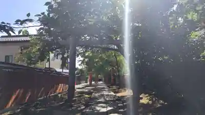 竹中稲荷神社（吉田神社末社）(京都府)