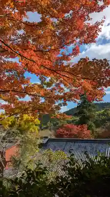 十輪寺(京都府)