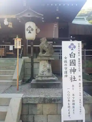 白國神社の狛犬