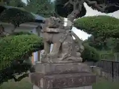 八坂神社の狛犬