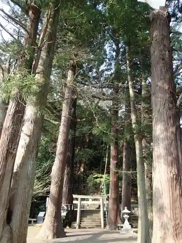 島大国魂御子神社の自然
