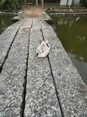 住吉神社(山口県)
