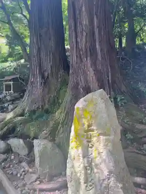 長谷寺(奈良県)