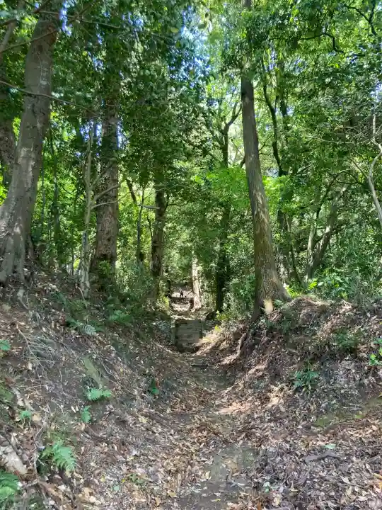 白山神社(東京都)