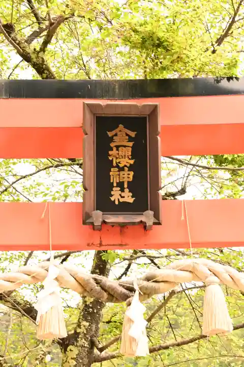 金櫻神社(山梨県)