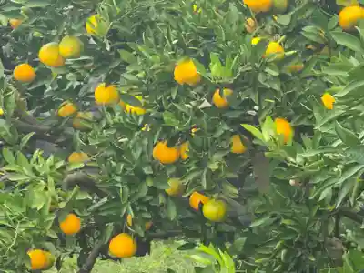 九田寺(奈良県)