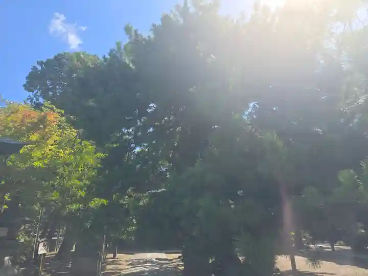 御霊神社(上御霊神社)(京都府)