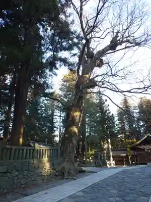 諏訪大社下社春宮(長野県)