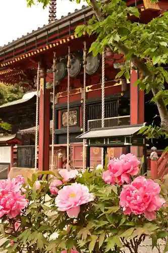 楽法寺（雨引観音）(茨城県)