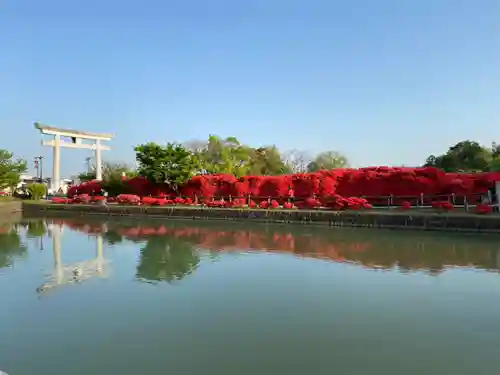 長岡天満宮の庭園