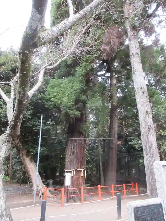 息栖神社の自然