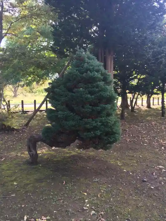 美国神社のその他建物