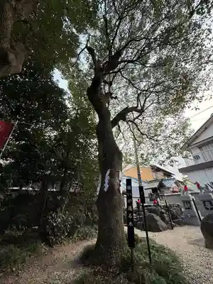 玉三稲荷神社(三重県)