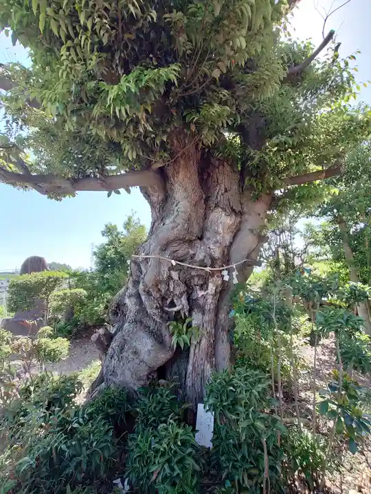 稲荷神社(埼玉県)