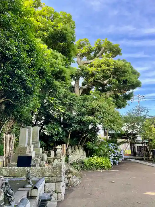 教恩寺(神奈川県)